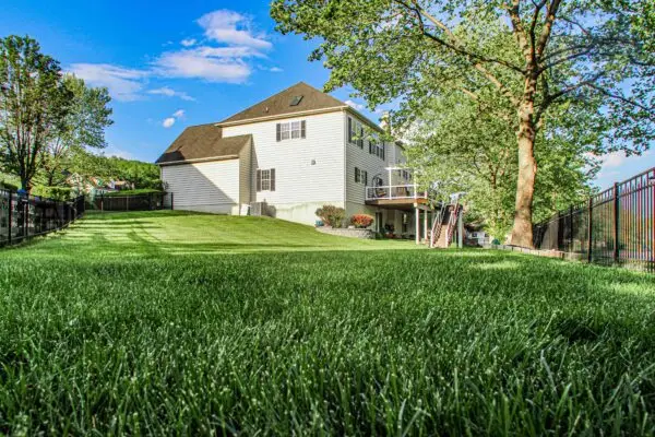 13 Jackson Ct - Image 16