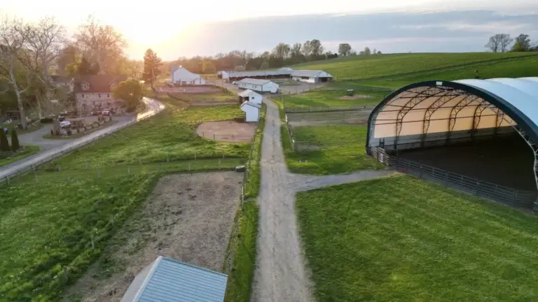 Horse farm at golden hour